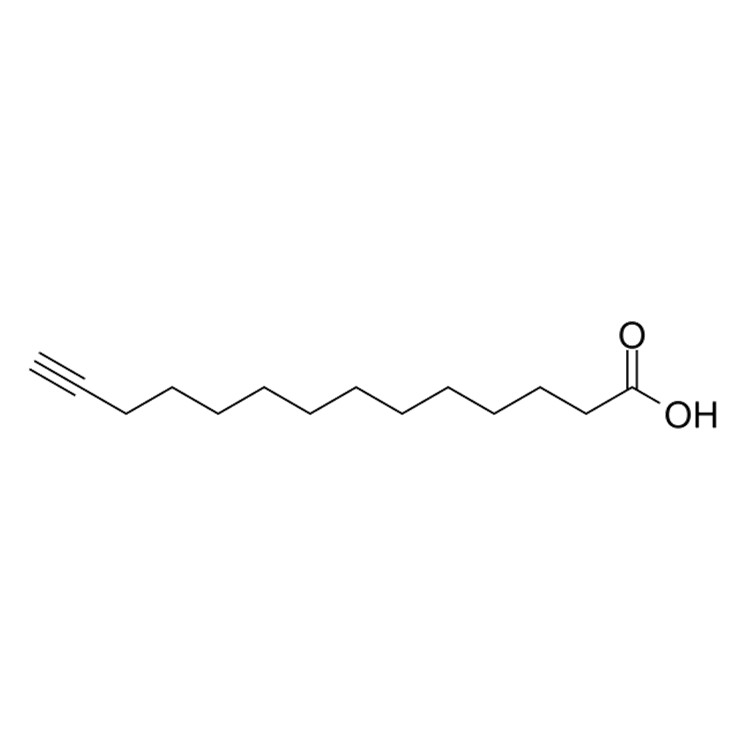 Alkynyl Myristic Acid
